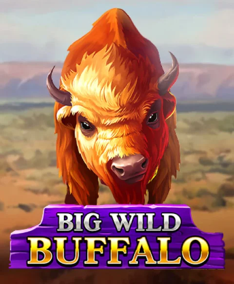 Zagraj w Big Wild Buffalo w kasynie Bet Warrior